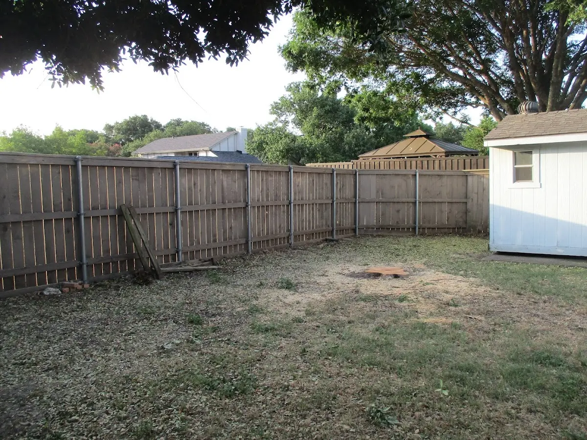 Cleared yard after professional tree removal in Hinesville
